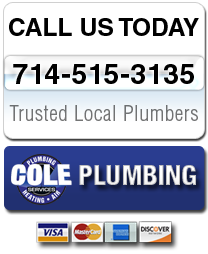 Call Cypress